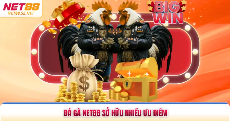 Đá gà NET88 sở hữu nhiều ưu điểm