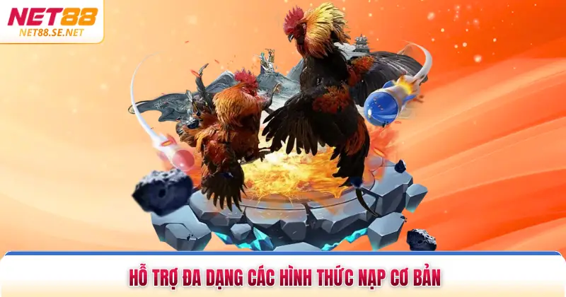 Hỗ trợ đa dạng các hình thức nạp cơ bản